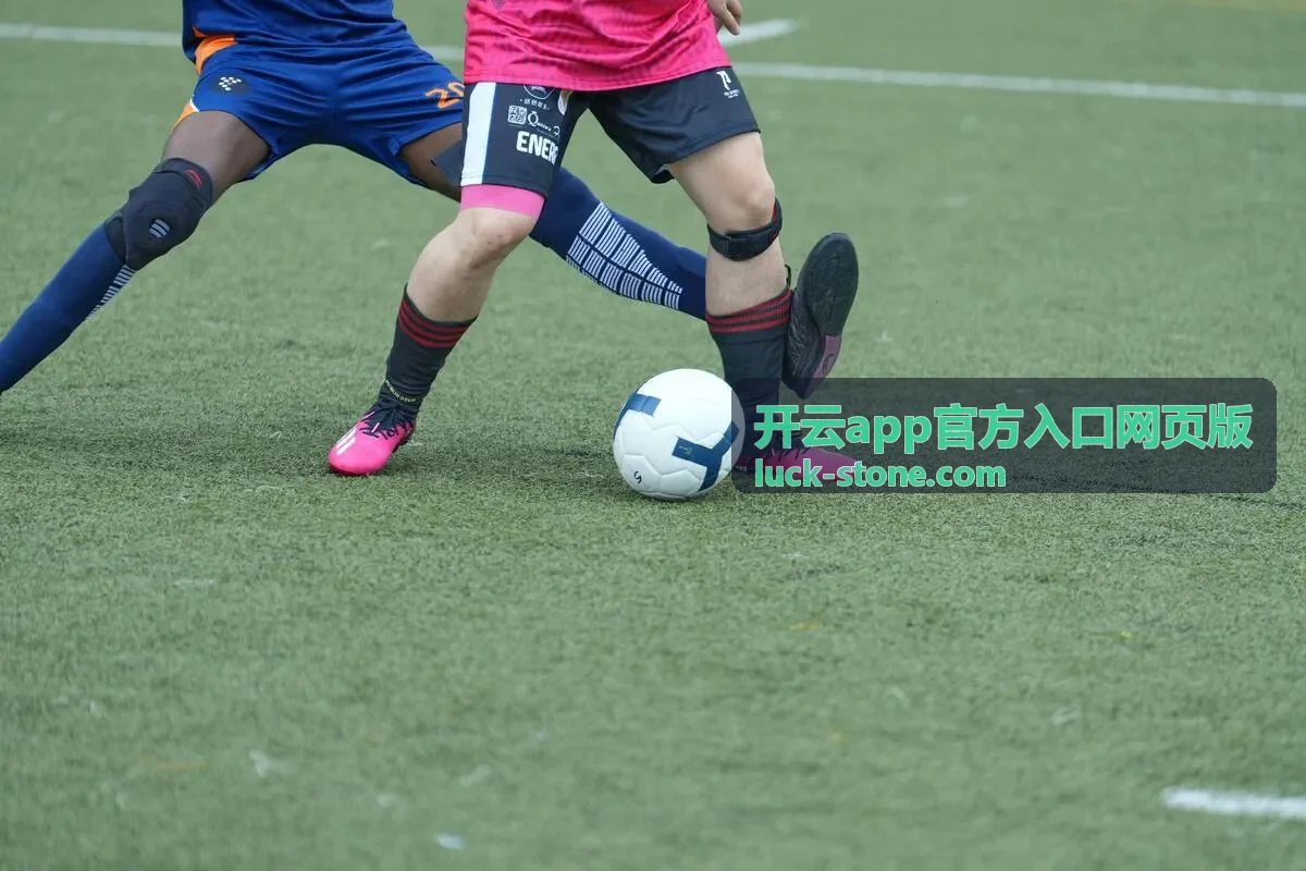 开云app官方入口安全识别与访问指南封面图