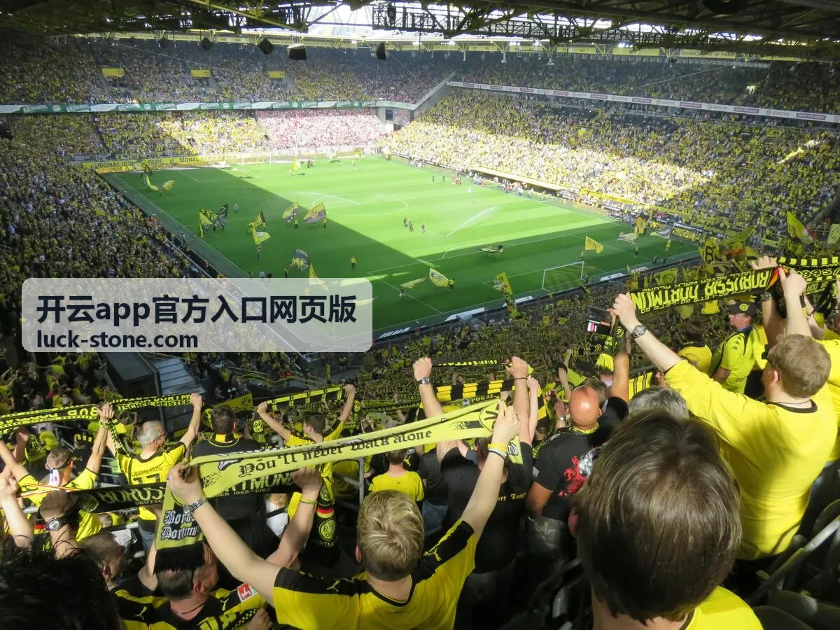 开云app官方入口网页版每日签到福利宣传图